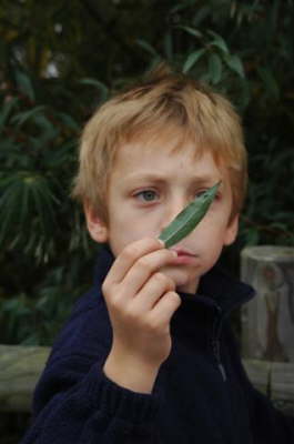 Boy leaf